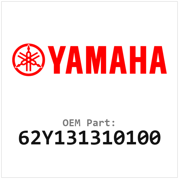 62Y131310100