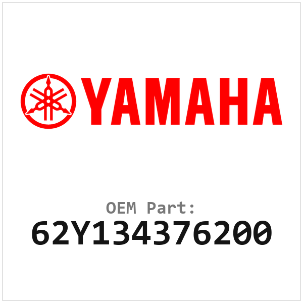 62Y134376200
