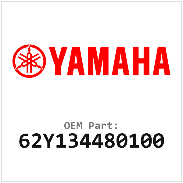 62Y134480100