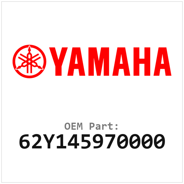 62Y145970000