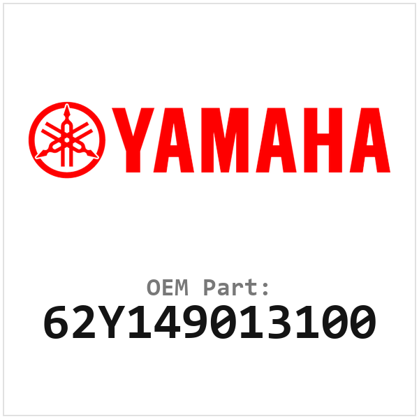 62Y149013100
