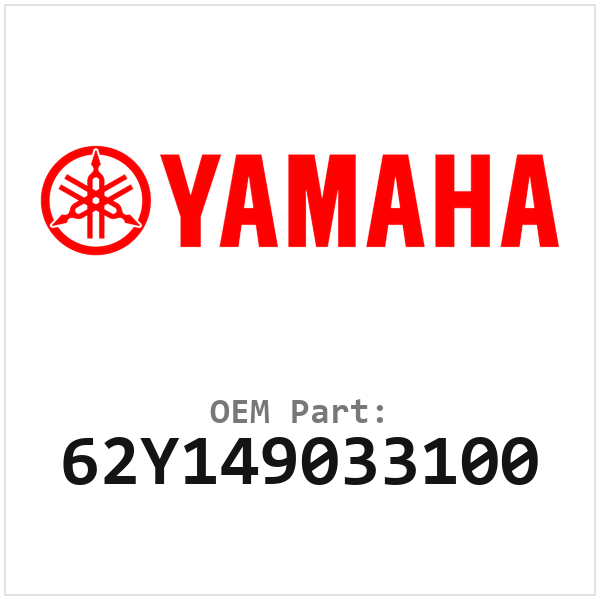 62Y149033100