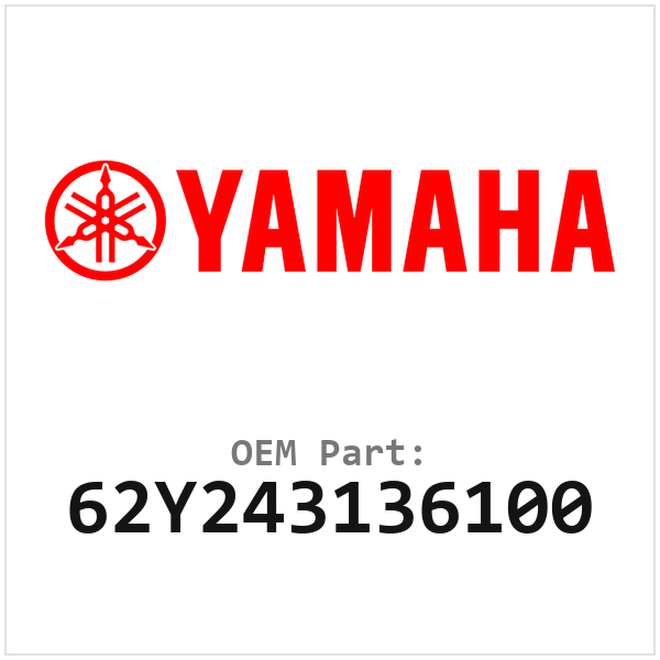 62Y243136100