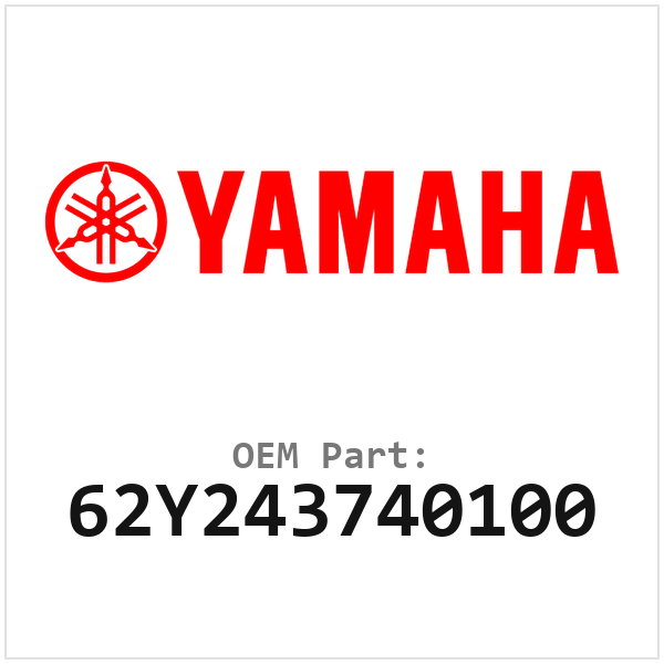 62Y243740100