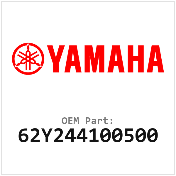 62Y244100500