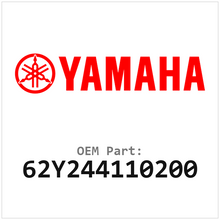 62Y244110200