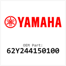 62Y244150100