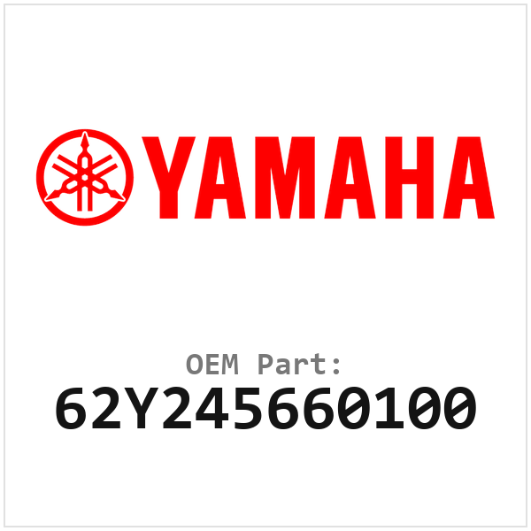 62Y245660100