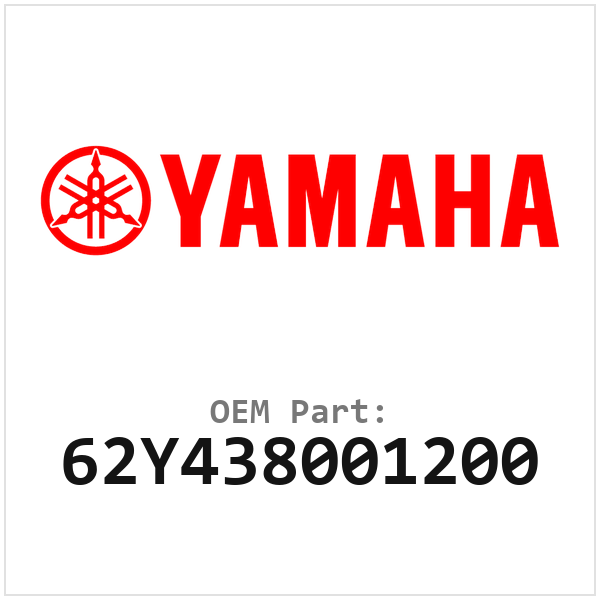 62Y438001200