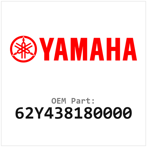 62Y438180000