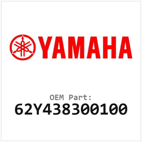 62Y438300100