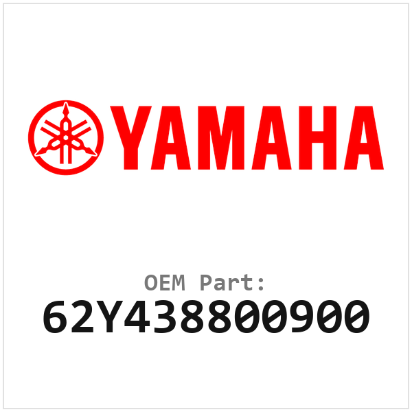 62Y438800900