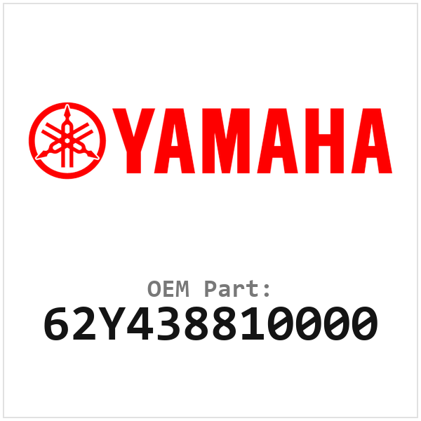 62Y438810000