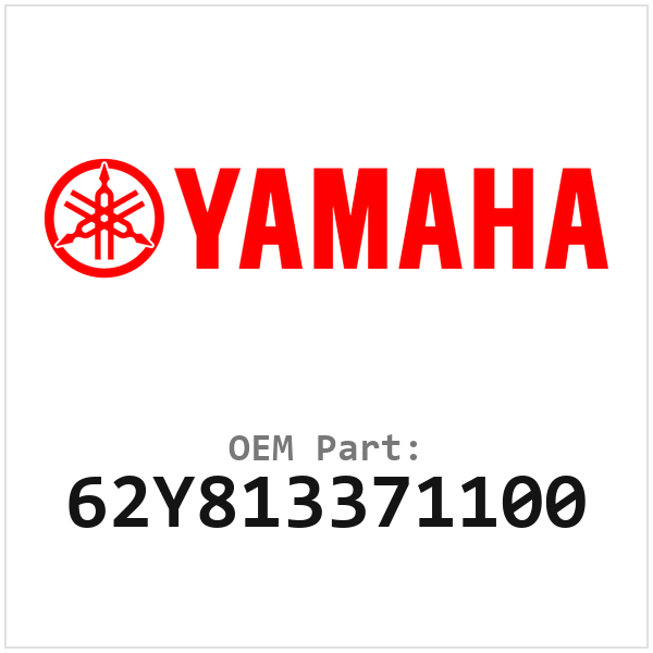 62Y813371100