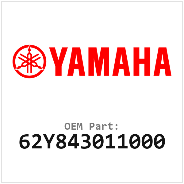 62Y843011000