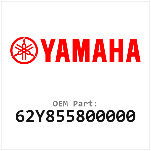 62Y855800000