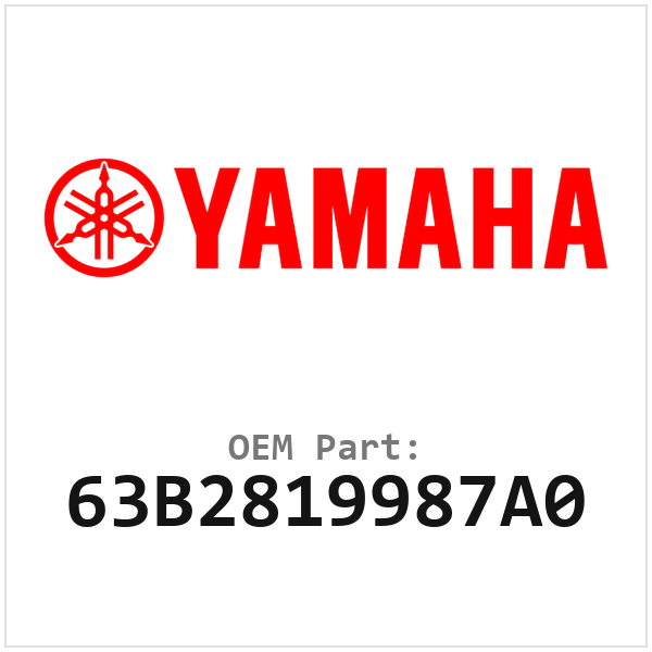 63B2819987A0