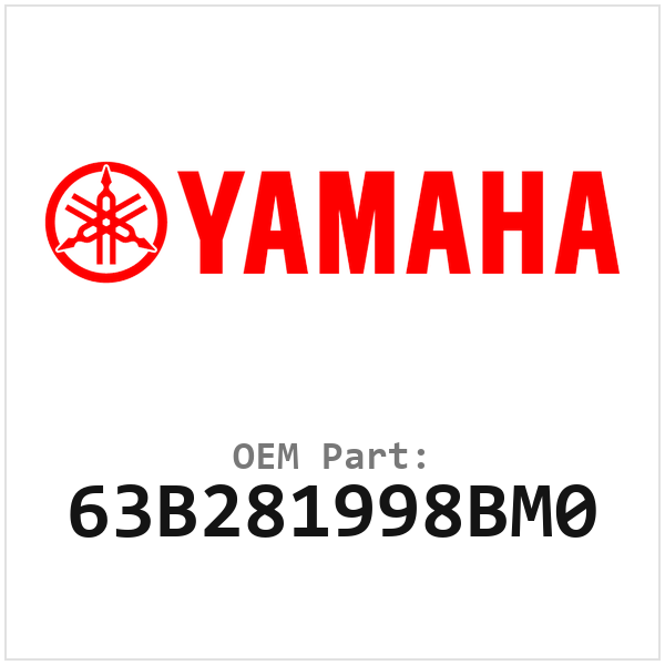 63B281998BM0