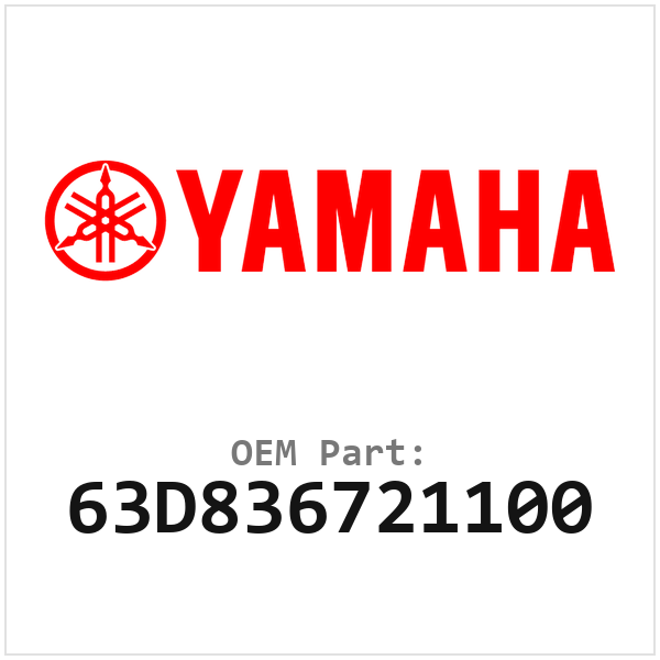 63D836721100