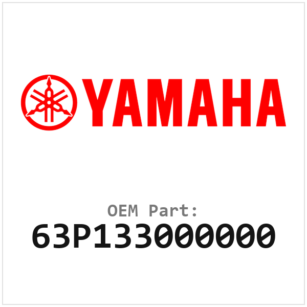 63P133000000