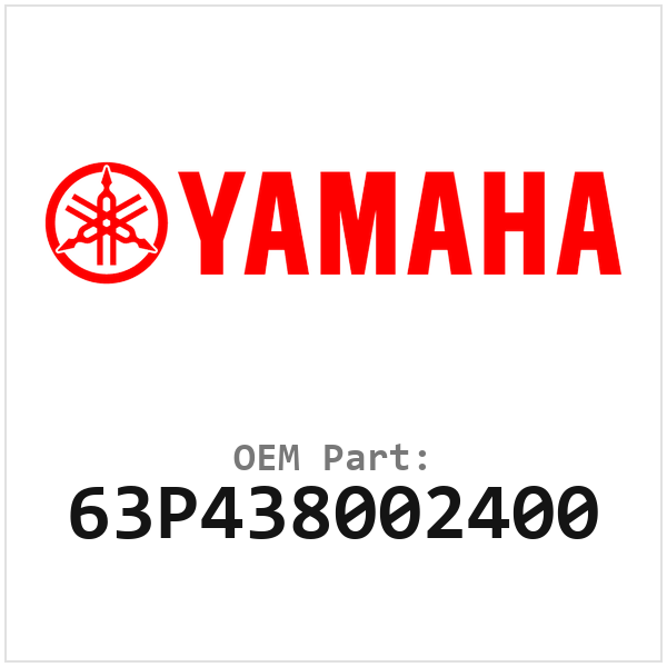63P438002400