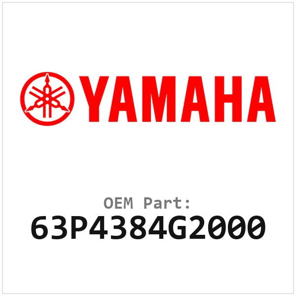 63P4384G2000