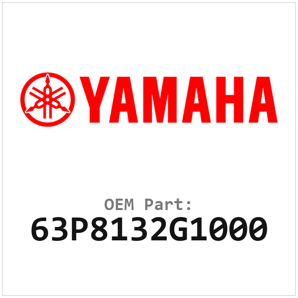 63P8132G1000