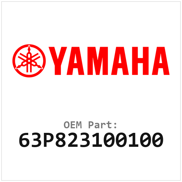 63P823100100