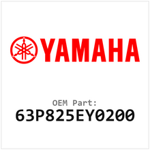 63P825EY0200