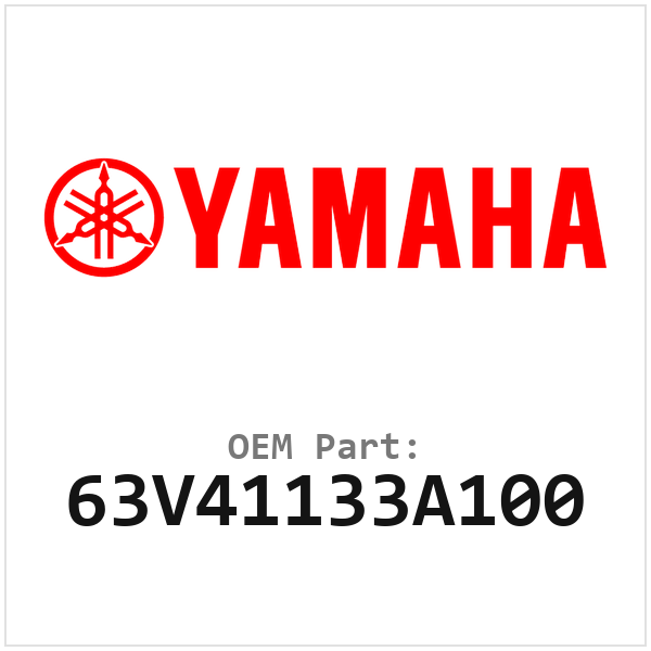 63V41133A100