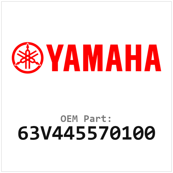 63V445570100