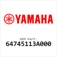 64745113A000