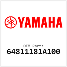 64811181A100