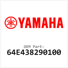 64E438290100