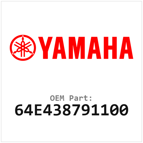 64E438791100