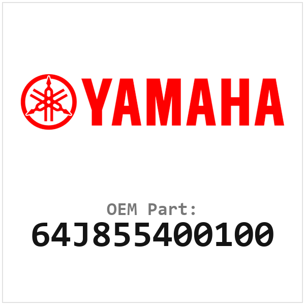 64J855400100