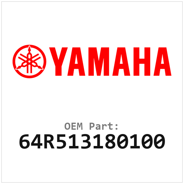 64R513180100