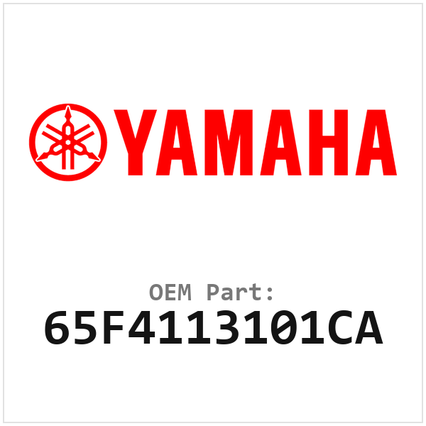 65F4113101CA