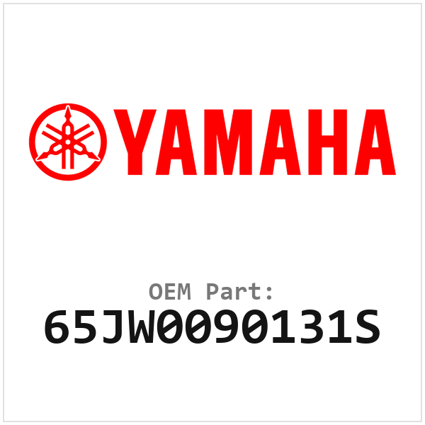 65JW0090131S