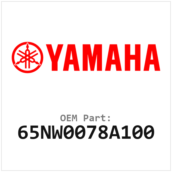 65NW0078A100