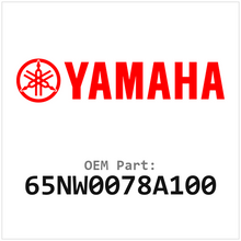 65NW0078A100