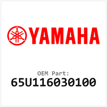 65U116030100