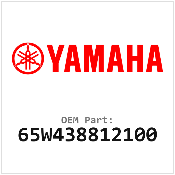65W438812100