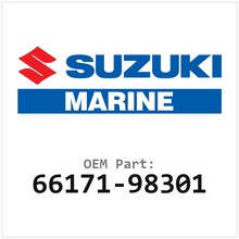 66171-98301