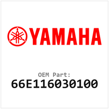 66E116030100
