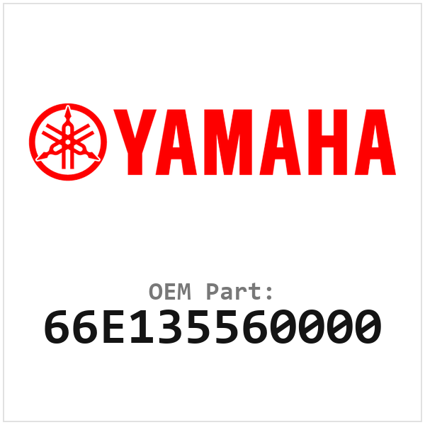 66E135560000