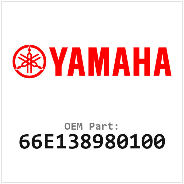 66E138980100