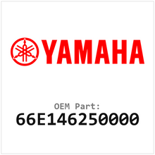 66E146250000