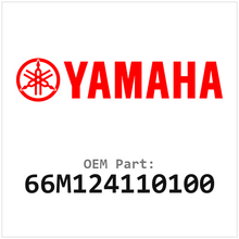 66M124110100
