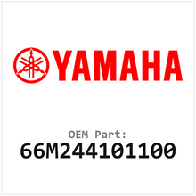 66M244101100